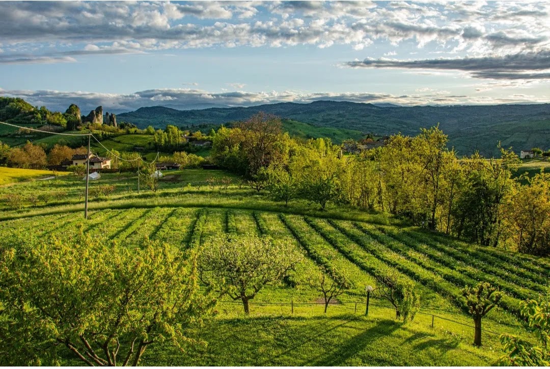 parco dei sassi